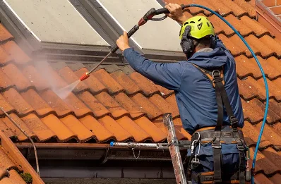 Démoussage et hydrofuge de toiture à Arabaux